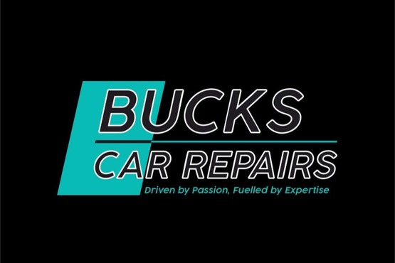 Councillor censured for bullying car repair shop staff