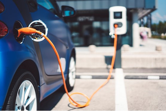 Treasury declines to fast-track ZEV mandate review