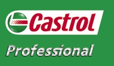 2009 Castrol logo